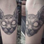 sphinx cat tattoo 03.12.2019 №054 -cat tattoo- tattoovalue.net