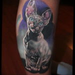 sphinx cat tattoo 03.12.2019 №064 -cat tattoo- tattoovalue.net
