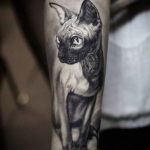 sphinx cat tattoo 03.12.2019 №003 -cat tattoo- tattoovalue.net
