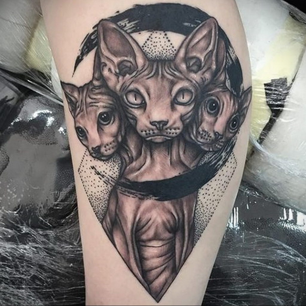 sphinx cat tattoo 03.12.2019 №006 -cat tattoo- tattoovalue.net