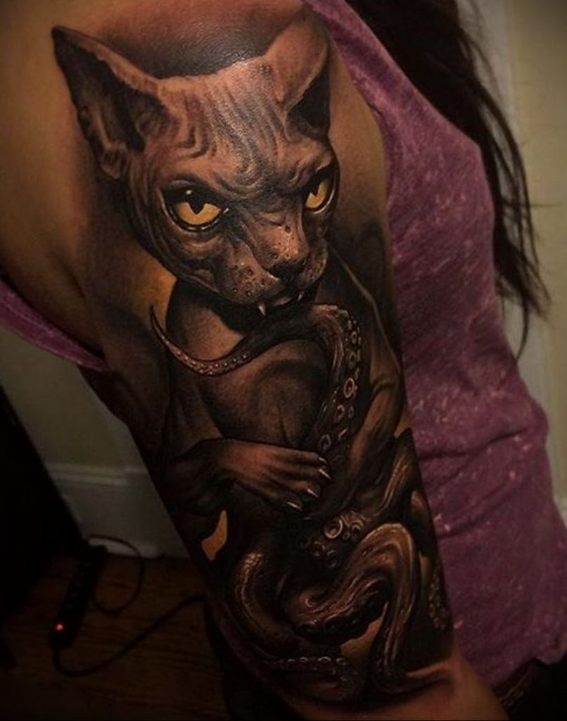 sphinx cat tattoo 03.12.2019 №007 -cat tattoo- tattoovalue.net