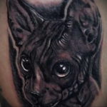 sphinx cat tattoo 03.12.2019 №008 -cat tattoo- tattoovalue.net