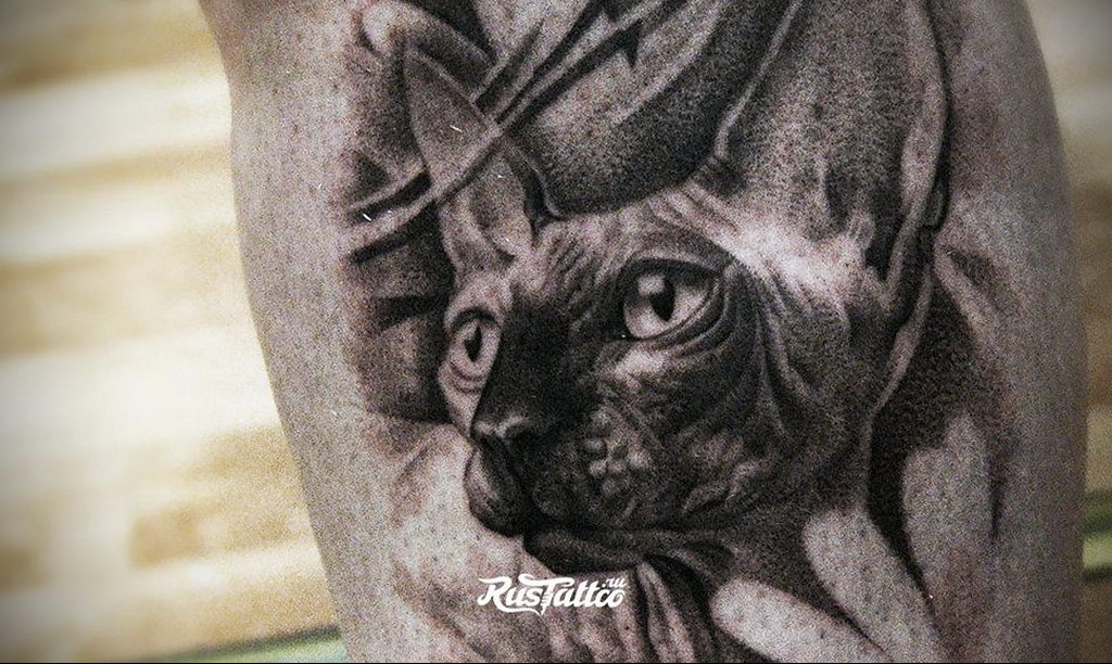 sphinx cat tattoo 03.12.2019 №010 -cat tattoo- tattoovalue.net