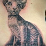 sphinx cat tattoo 03.12.2019 №012 -cat tattoo- tattoovalue.net