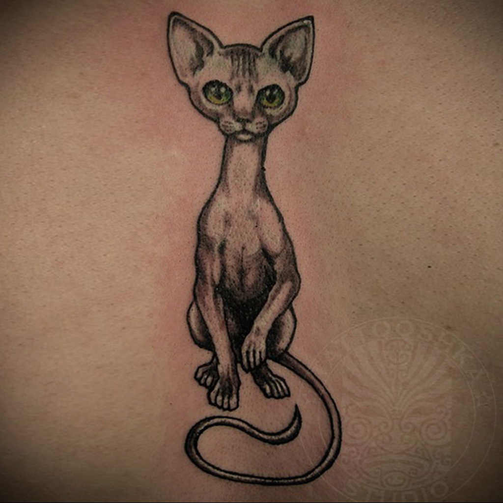 sphinx cat tattoo 03.12.2019 №015 -cat tattoo- tattoovalue.net