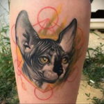 sphinx cat tattoo 03.12.2019 №017 -cat tattoo- tattoovalue.net
