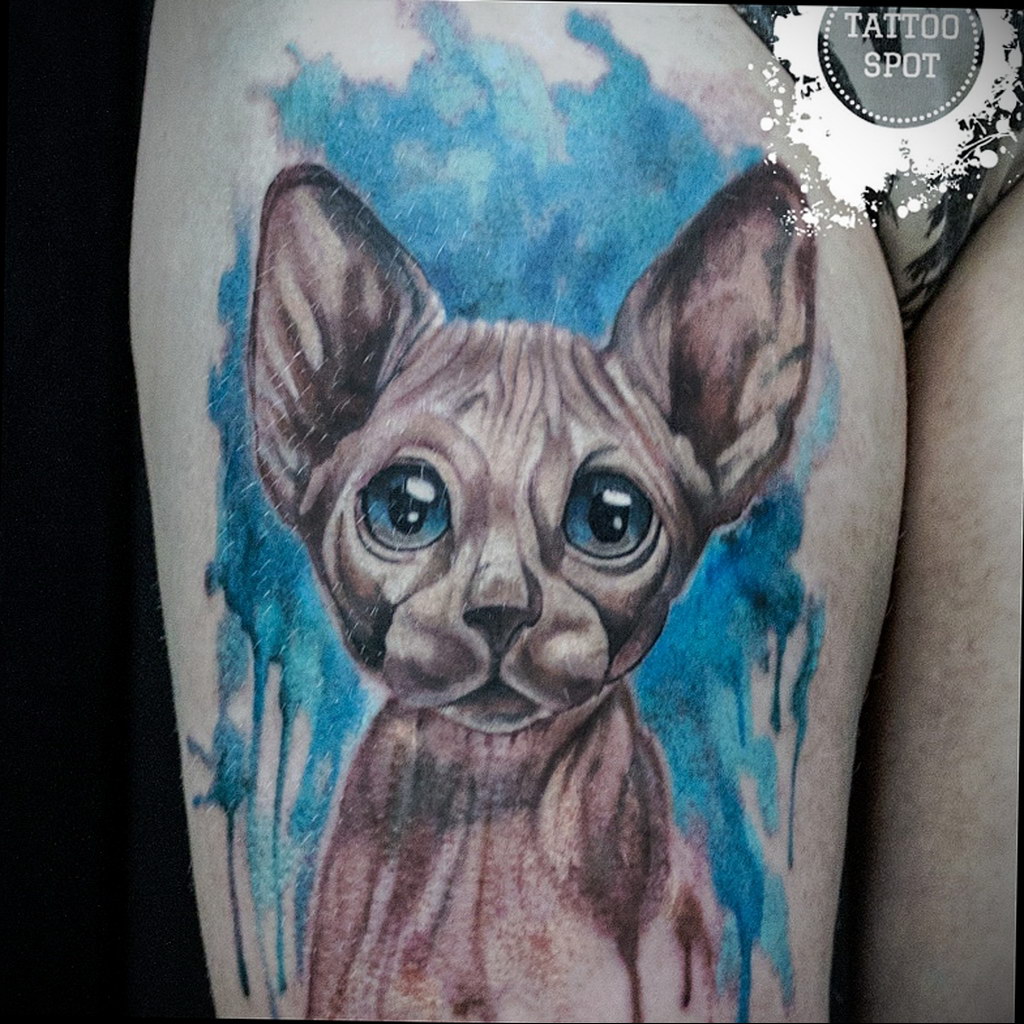 sphinx cat tattoo 03.12.2019 №022 -cat tattoo- tattoovalue.net