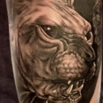 sphinx cat tattoo 03.12.2019 №025 -cat tattoo- tattoovalue.net