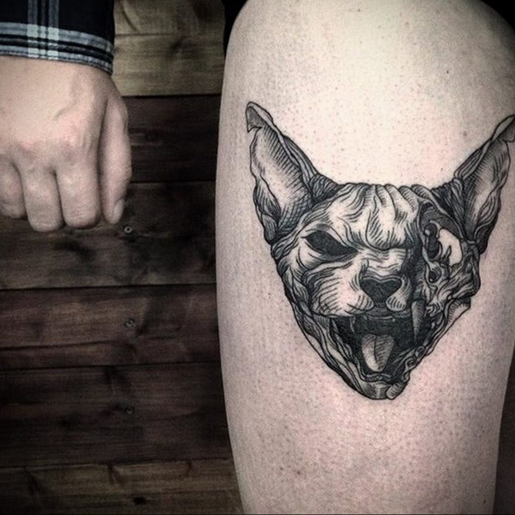 sphinx cat tattoo 03.12.2019 №026 -cat tattoo- tattoovalue.net