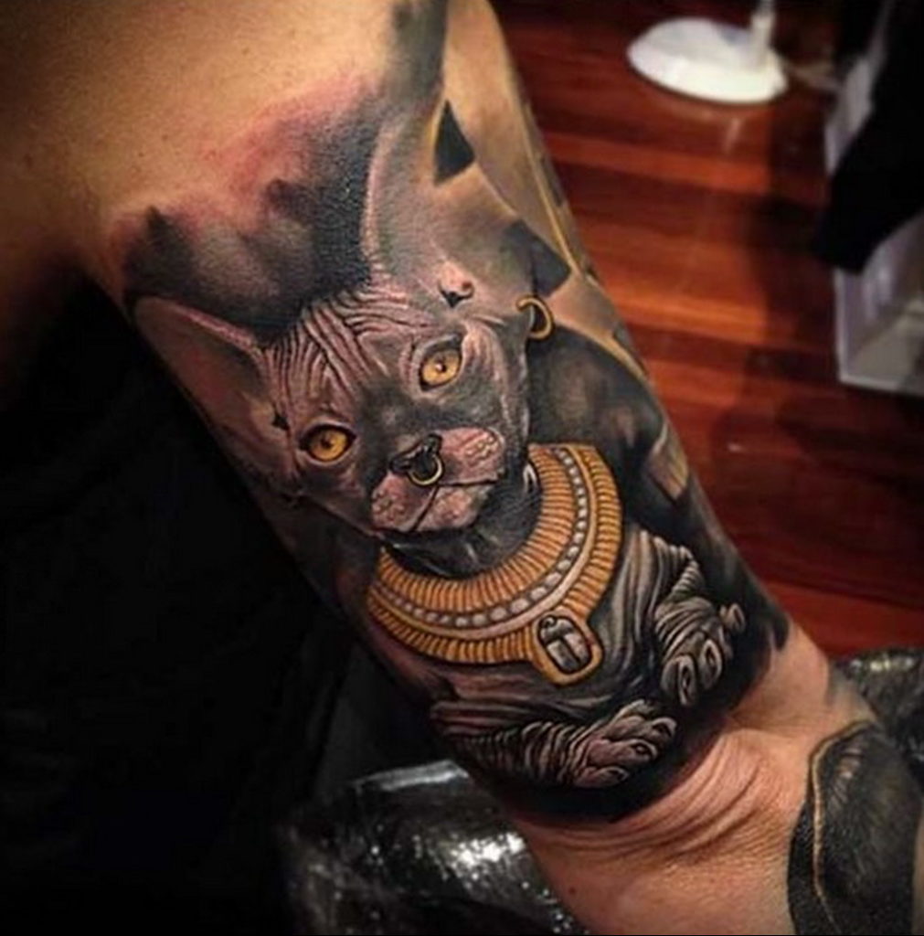 sphinx cat tattoo 03.12.2019 №028 -cat tattoo- tattoovalue.net