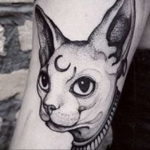 sphinx cat tattoo 03.12.2019 №029 -cat tattoo- tattoovalue.net