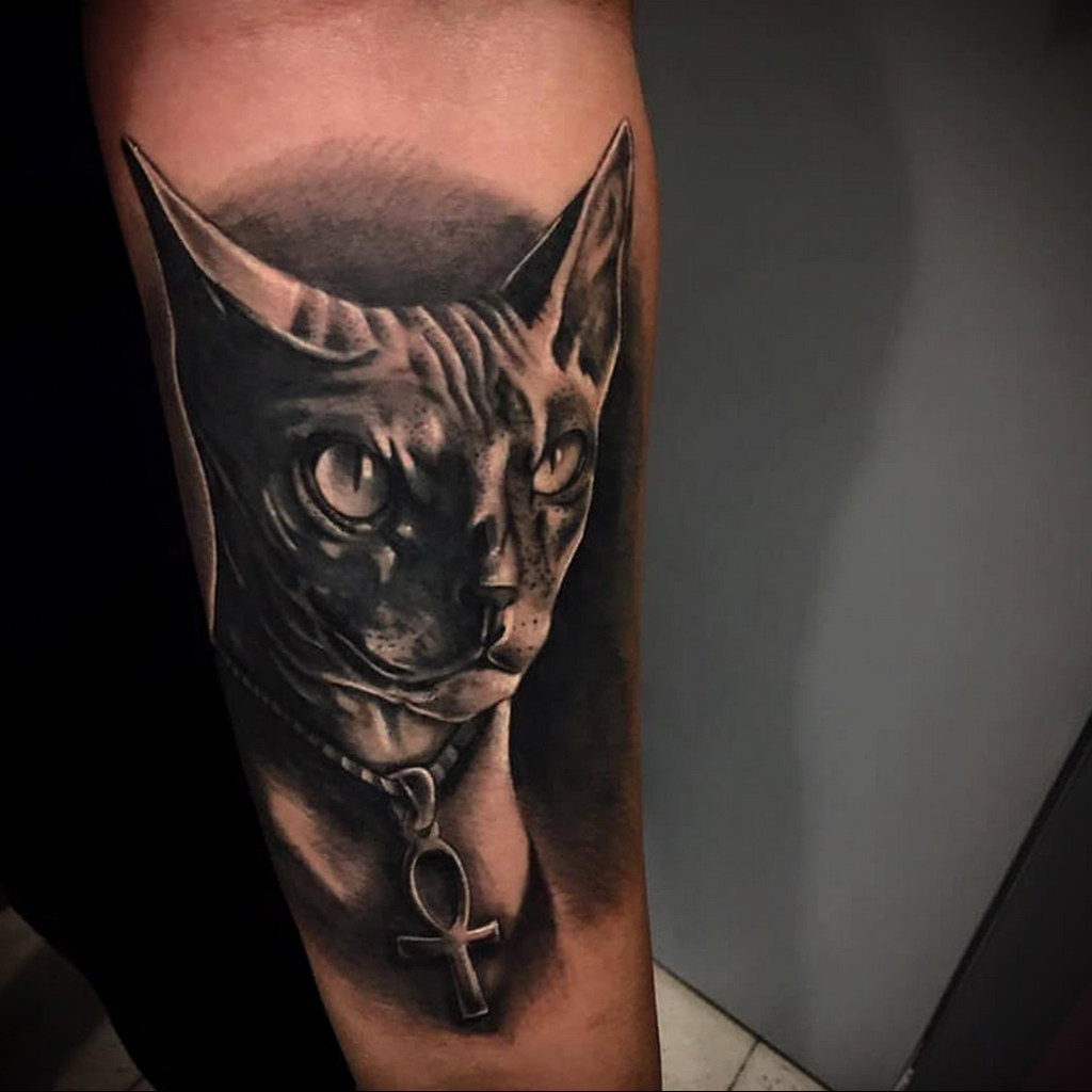 sphinx cat tattoo 03.12.2019 №030 -cat tattoo- tattoovalue.net