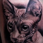 sphinx cat tattoo 03.12.2019 №033 -cat tattoo- tattoovalue.net