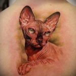 sphinx cat tattoo 03.12.2019 №036 -cat tattoo- tattoovalue.net