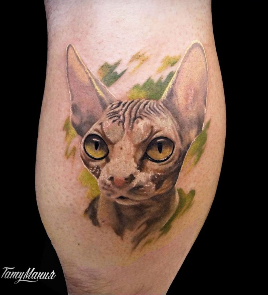 sphinx cat tattoo 03.12.2019 №038 -cat tattoo- tattoovalue.net