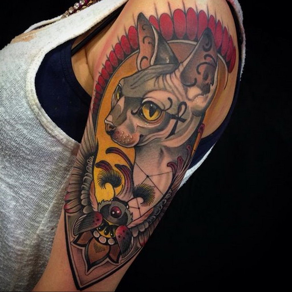 sphinx cat tattoo 03.12.2019 №041 -cat tattoo- tattoovalue.net