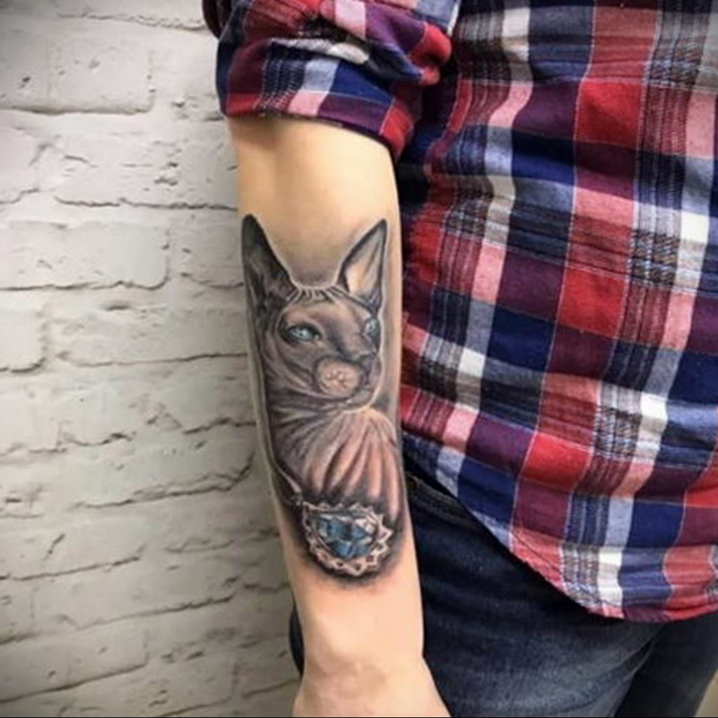 sphinx cat tattoo 03.12.2019 №043 -cat tattoo- tattoovalue.net