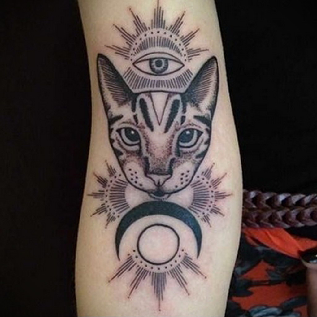 sphinx cat tattoo 03.12.2019 №044 -cat tattoo- tattoovalue.net