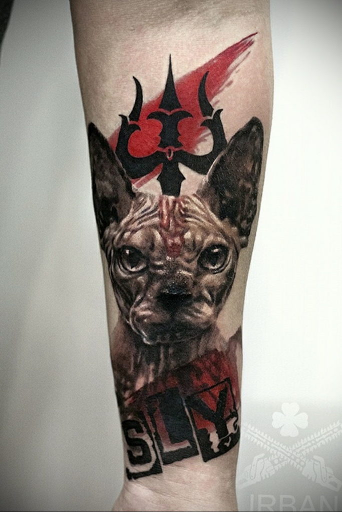sphinx cat tattoo 03.12.2019 №045 -cat tattoo- tattoovalue.net