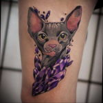 sphinx cat tattoo 03.12.2019 №046 -cat tattoo- tattoovalue.net