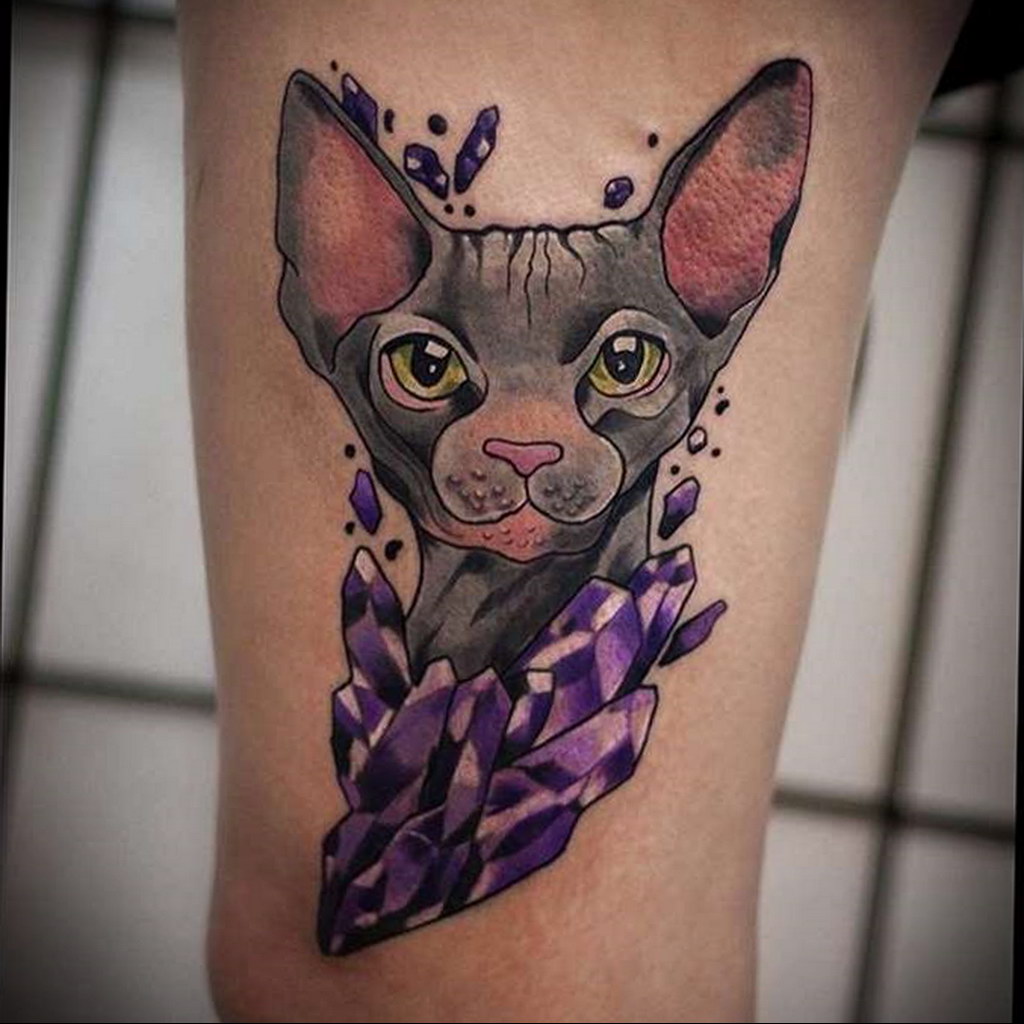 sphinx cat tattoo 03.12.2019 №046 -cat tattoo- tattoovalue.net