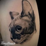 sphinx cat tattoo 03.12.2019 №048 -cat tattoo- tattoovalue.net