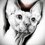 sphinx cat tattoo 03.12.2019 №052 -cat tattoo- tattoovalue.net