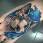 sphinx cat tattoo 03.12.2019 №053 -cat tattoo- tattoovalue.net