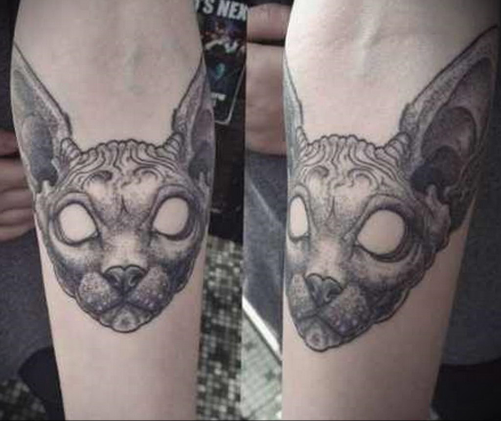 sphinx cat tattoo 03.12.2019 №054 -cat tattoo- tattoovalue.net