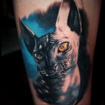 sphinx cat tattoo 03.12.2019 №057 -cat tattoo- tattoovalue.net