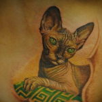 sphinx cat tattoo 03.12.2019 №063 -cat tattoo- tattoovalue.net