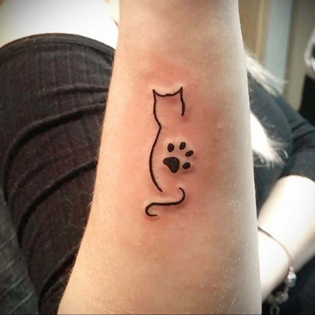 tattoo cat minimalism 03.12.2019 №016 -cat tattoo- tattoovalue.net