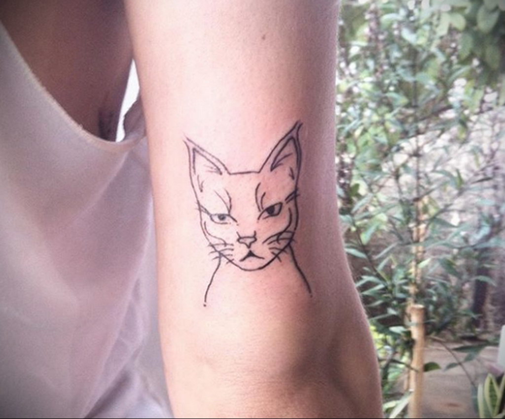 tattoo cat minimalism 03.12.2019 №026 -cat tattoo- tattoovalue.net