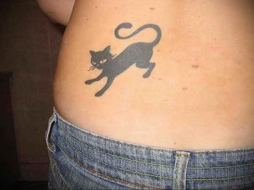 Татуировки для девушек на животе кошки