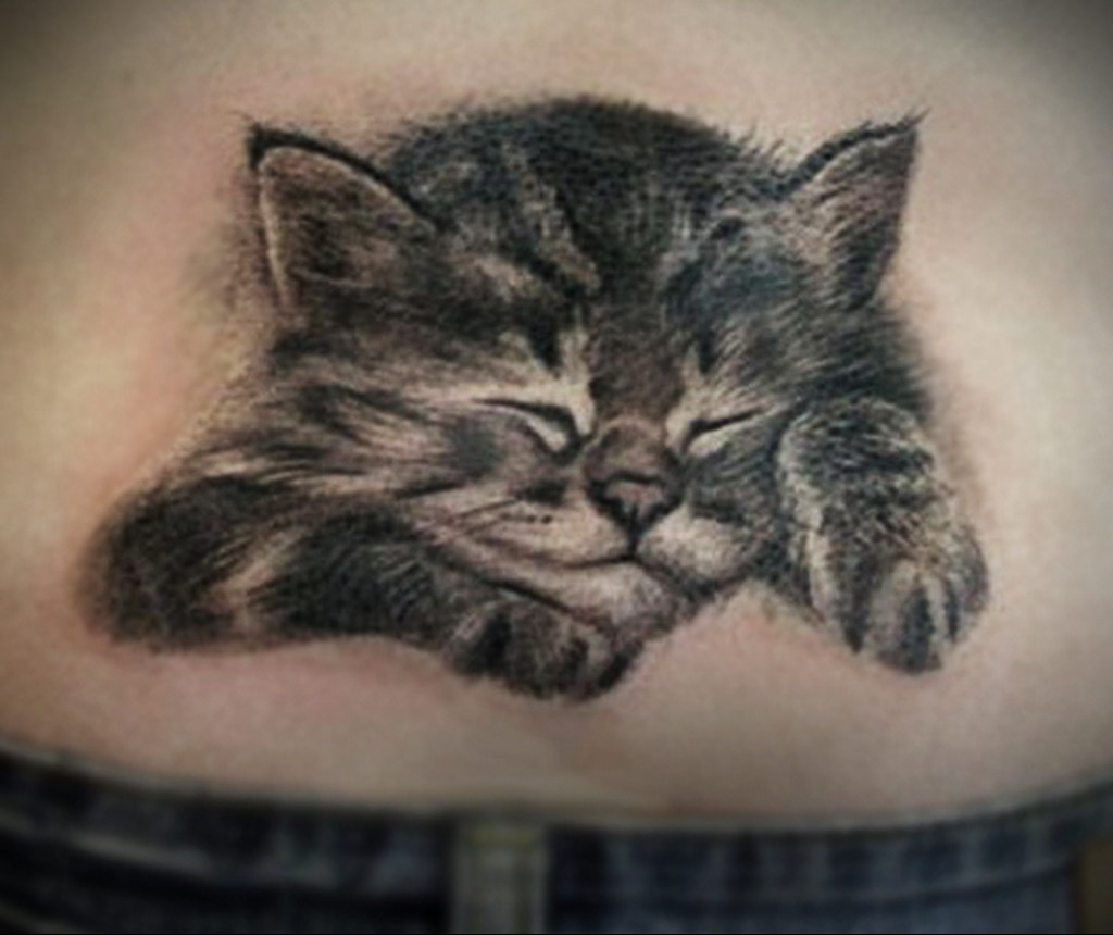 tattoo cat on the lower back 03.12.2019 №011 -cat tattoo- tattoovalue.net