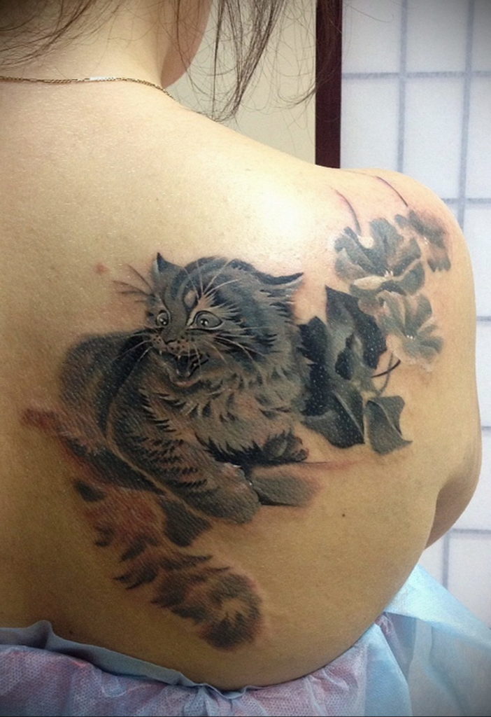 tattoo cat on the shoulder blade 03.12.2019 №008 -cat tattoo- tattoovalue.net