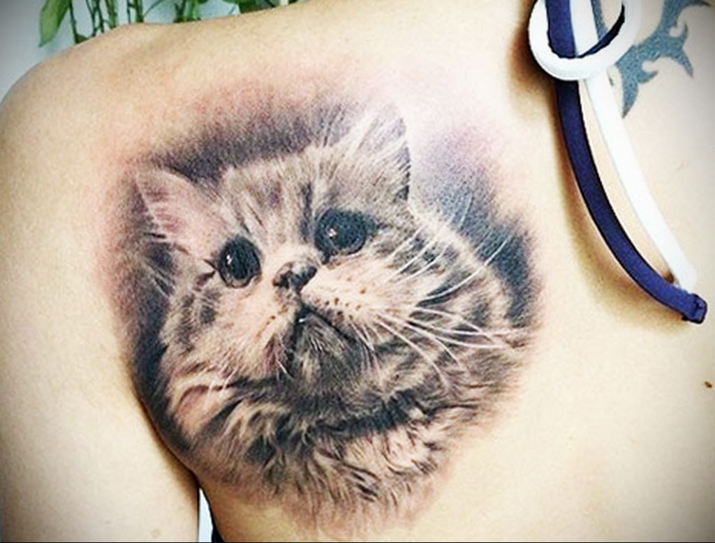 tattoo cat on the shoulder blade 03.12.2019 №014 -cat tattoo- tattoovalue.net