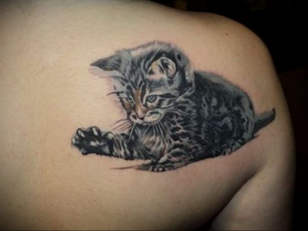 tattoo cat on the shoulder blade 03.12.2019 №017 -cat tattoo- tattoovalue.net