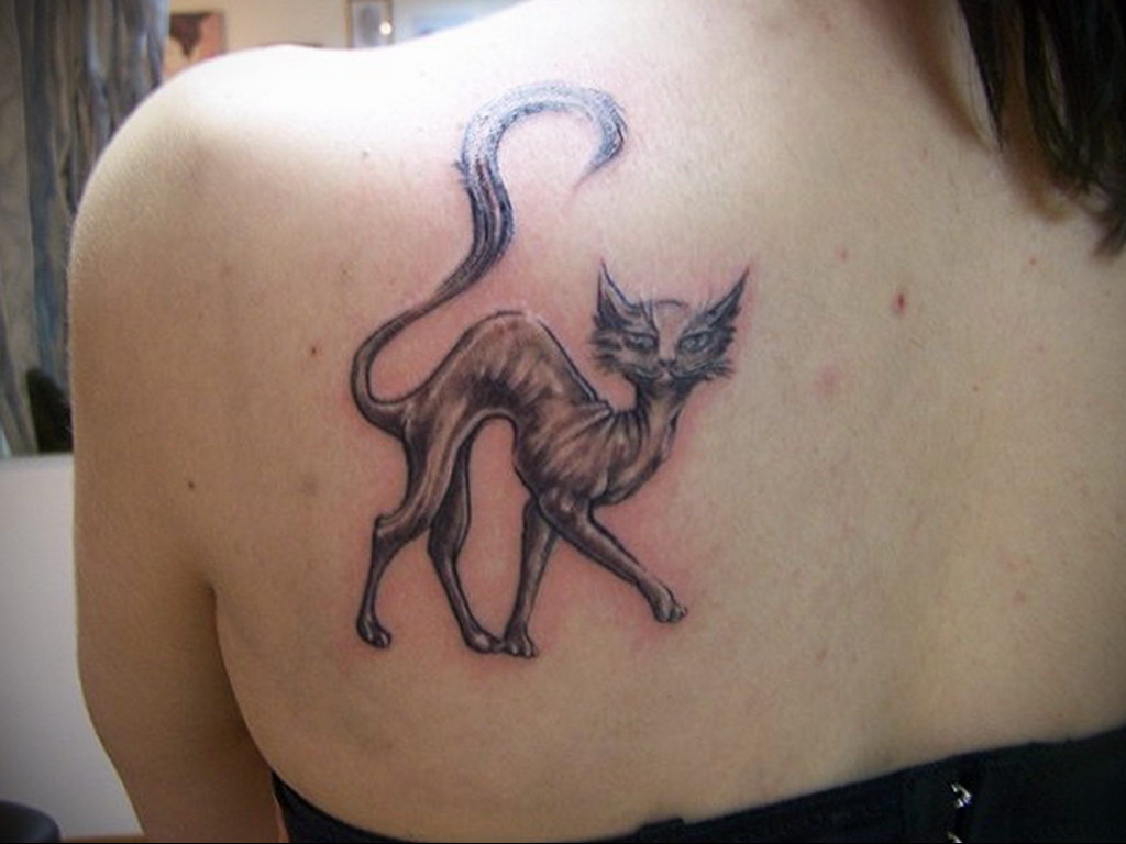 tattoo cat on the shoulder blade 03.12.2019 №021 -cat tattoo- tattoovalue.net