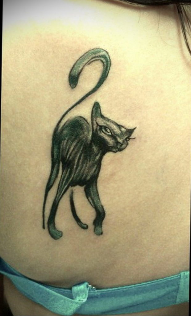 tattoo cat on the shoulder blade 03.12.2019 №023 -cat tattoo- tattoovalue.net