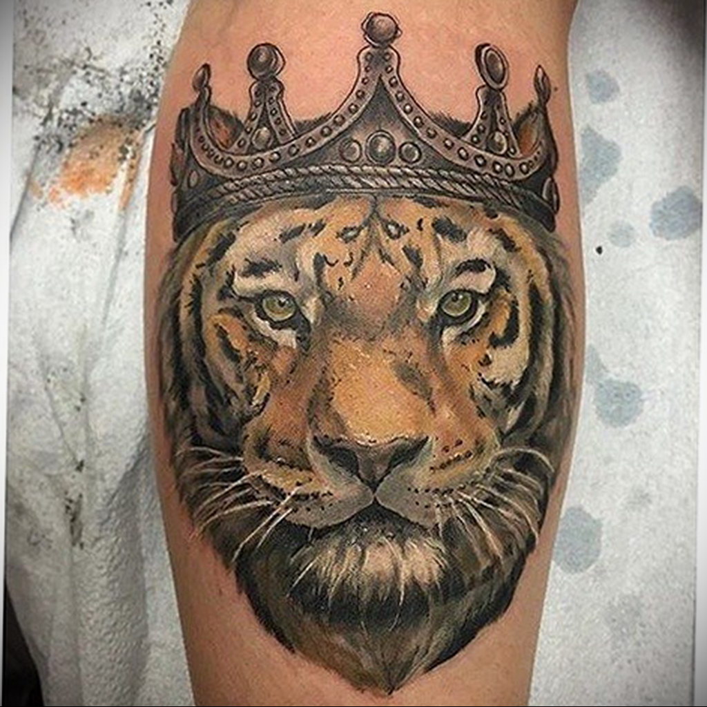 tiger tattoo with crown 08.12.2019 №004 -tattoo crown- tattoovalue.net
