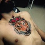 tiger tattoo with crown 08.12.2019 №010 -tattoo crown- tattoovalue.net