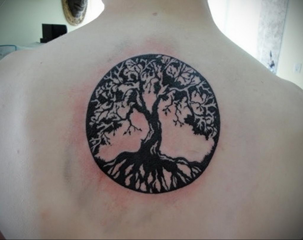 Tree Tattoo In A Circle 07 01 2020 029 Circle Tattoo Tattoovalue Net Tattoovalue Net