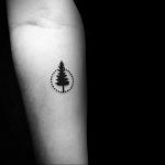 tree tattoo in a circle 07.01.2020 №009 -circle tattoo- tattoovalue.net