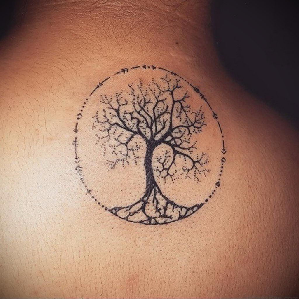 tree tattoo in a circle 07.01.2020 №044 -circle tattoo- tattoovalue.net