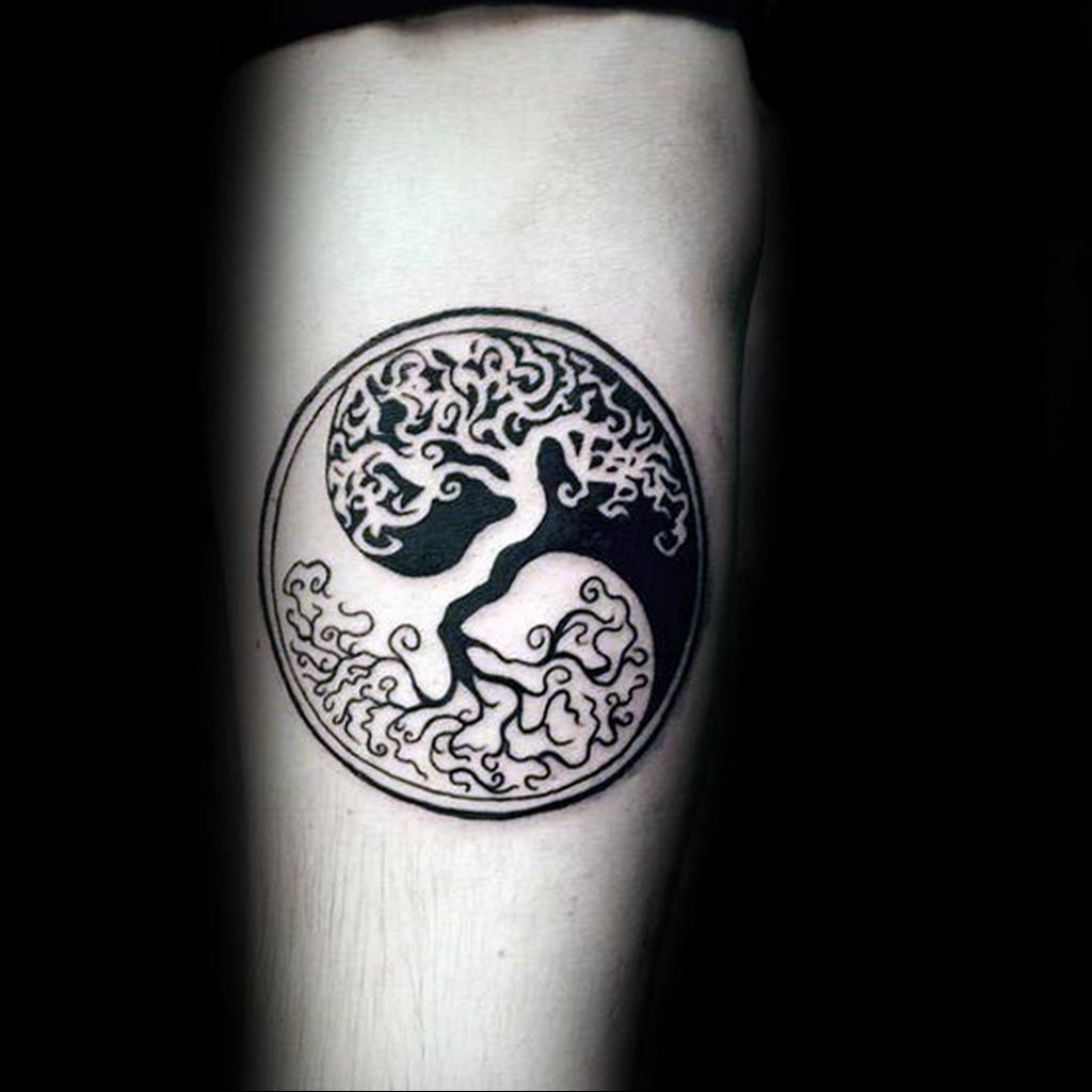 tree tattoo in a circle 07.01.2020 №051 -circle tattoo- tattoovalue.net