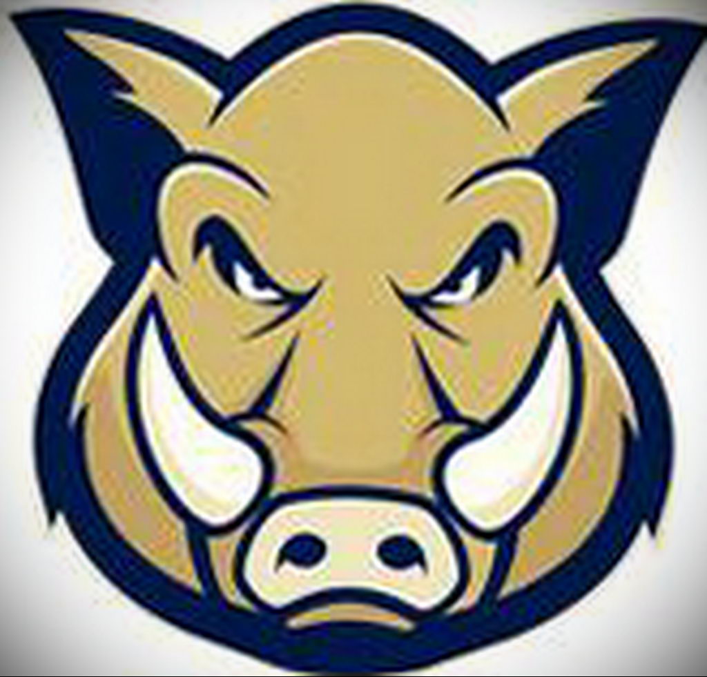 Boars head. Маска кабана. Кабан логотип. Маска кабана для детей.