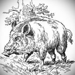 wild boar face tattoo 01.02.2020 №003 -boar tattoo- tattoovalue.net
