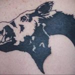 wild boar face tattoo 01.02.2020 №025 -boar tattoo- tattoovalue.net