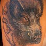 wild boar face tattoo 01.02.2020 №026 -boar tattoo- tattoovalue.net